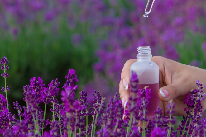 Oleo Chemical Feedstock - Way Forward