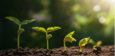 Reports and Policies