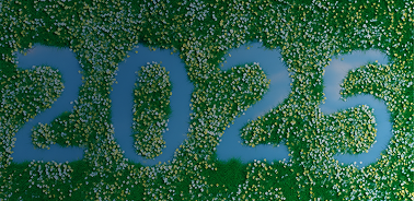 Annual Action Policy